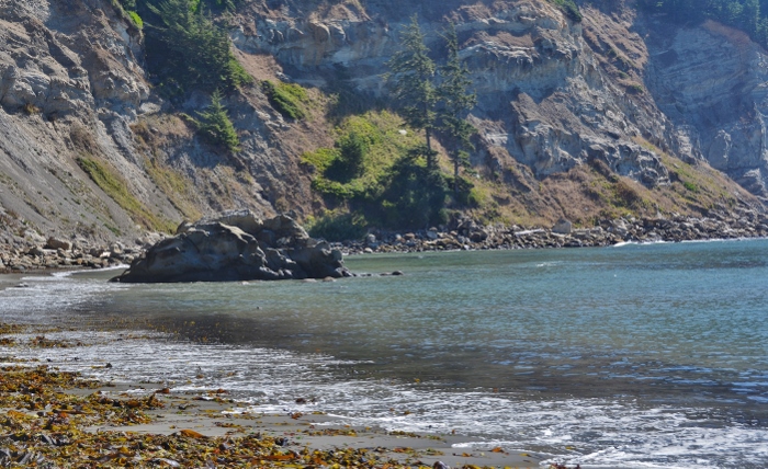 Beach and coast at South Cove, Cape Arago